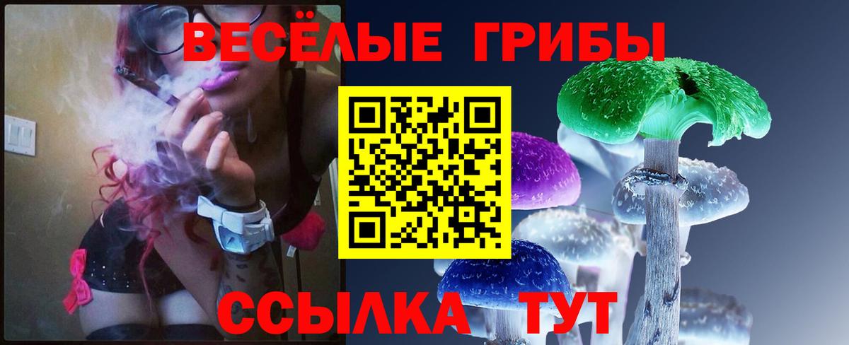 Псилоцибиновые грибы GOLDEN TEACHER  Псилоцибиновые грибы Psilocybine cubensis  Кушва  Вход с VPN 